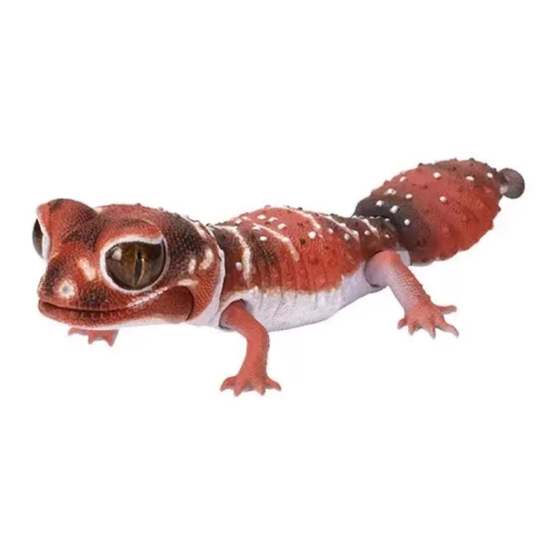 Bandai Japan Genuine Creature Illustrated Fat Tail Shogun Round Tail Gecko Twister Action Figures Kids Toys Boys Gifts