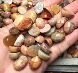 Promotion!!10Pcs/Pack Mixed Free Size Natural Coral Jasper Beads Cabochons,Chrysanthemum Stone Cabochon Ring Face,12-20mm