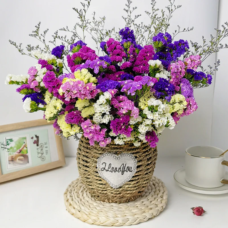 

Forget-Me-not Dried Flowers Multi-Color Real Myosotis Style for Wedding Decoration Arrangement DIY Bouquet Room Home Decoration