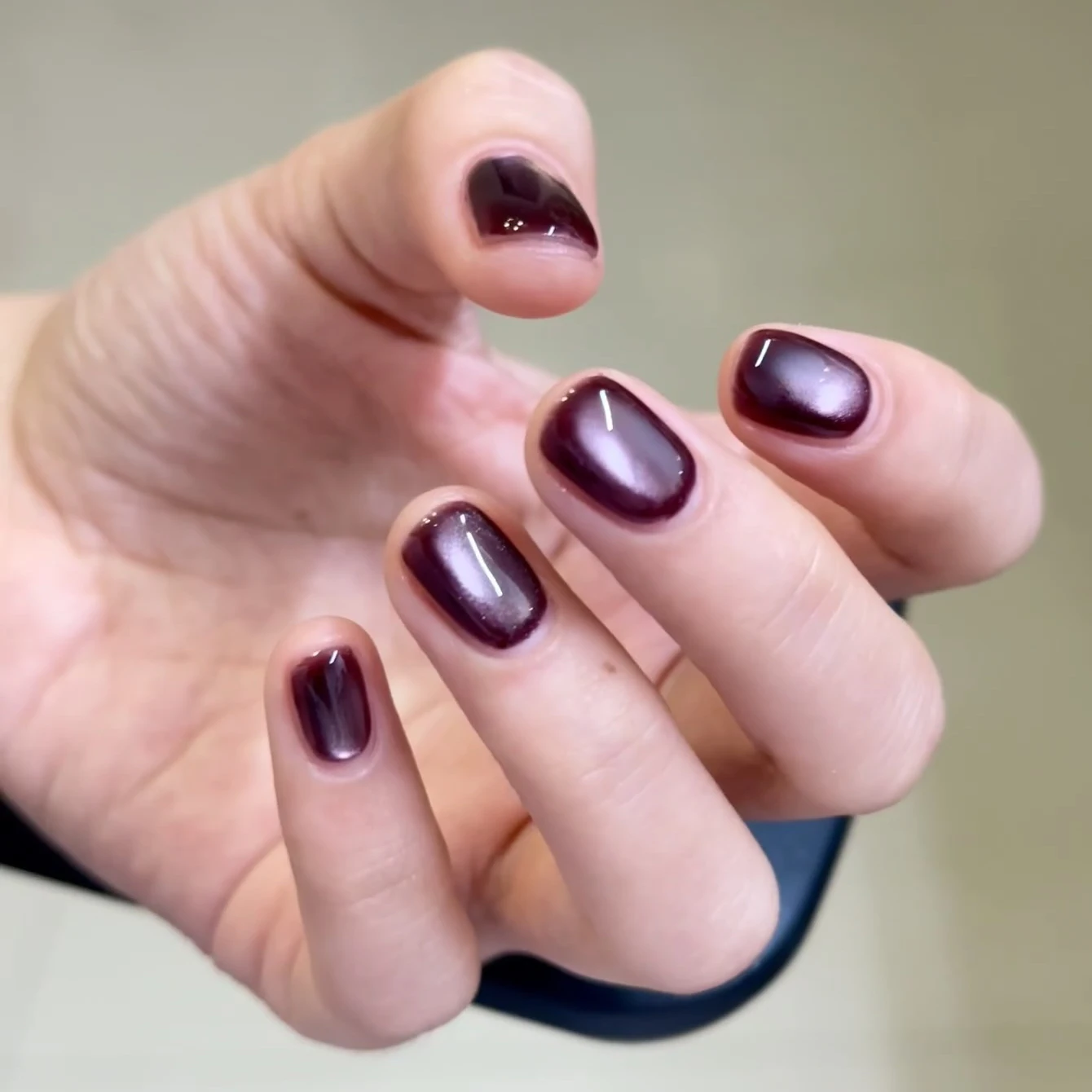 10ML 1 SZT. Fioletowy Lakier Hybrydowy do Paznokci z Efektem Kociego Oka, Jesienno-Zimowy Hit Sprzedaży, Rozjaśniający Klej do Paznokci, Czarne Paznokcie, Akcesoria do Paznokci