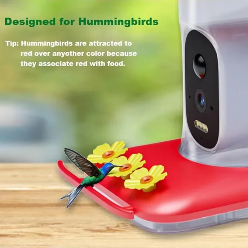 aAI Hummingbird Feeder with Camera Solar Powered Live Viewing Motion Detection