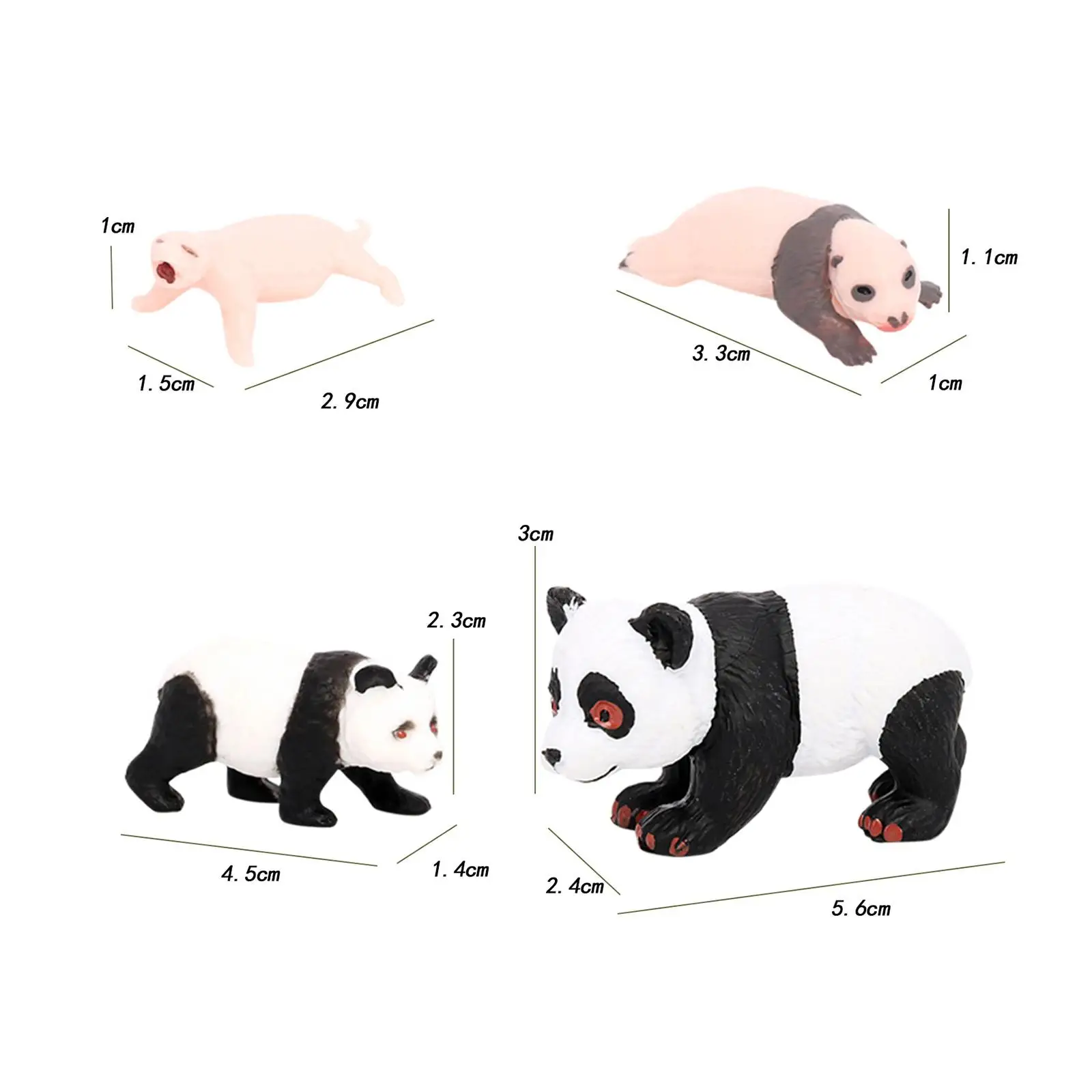 4 Stück Panda Tier Lebenszyklus Modell, Klassen zimmer Zubehör, Lernspiel zeug, früh