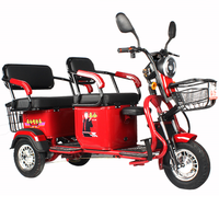 Fat Tire Electric Cargo Tricycle 3 Places Adult With 2 Baskets Gps 600w 48v 30ah 3 Wheel Senior Electric Scooter With Child Seat