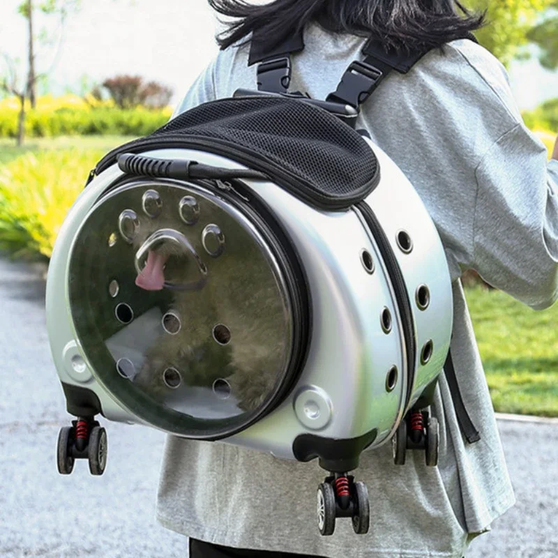 Transparent Cat Bag Multi-purpose Double Shoulder Cat Carrier Large Capacity Backpack for Cats Portable Outdoors Dog Supplies