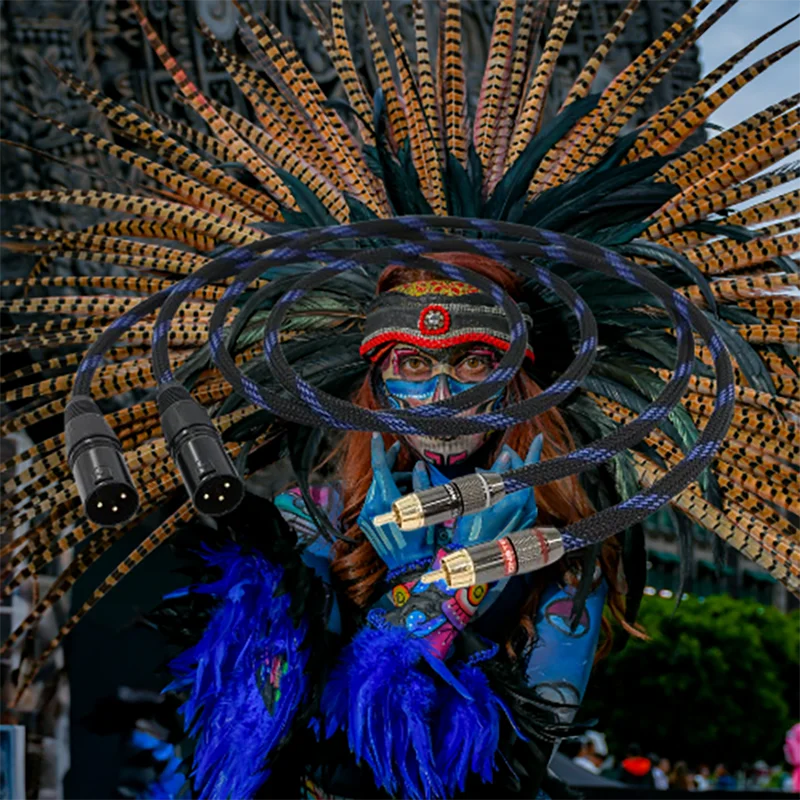 

Broadcast-Grade XLR-RCA Adapter - Dual Gold-Plated w/Triple EMI Shield (Pro Audio Sync)​