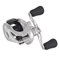 A100DBC-1 Silver
