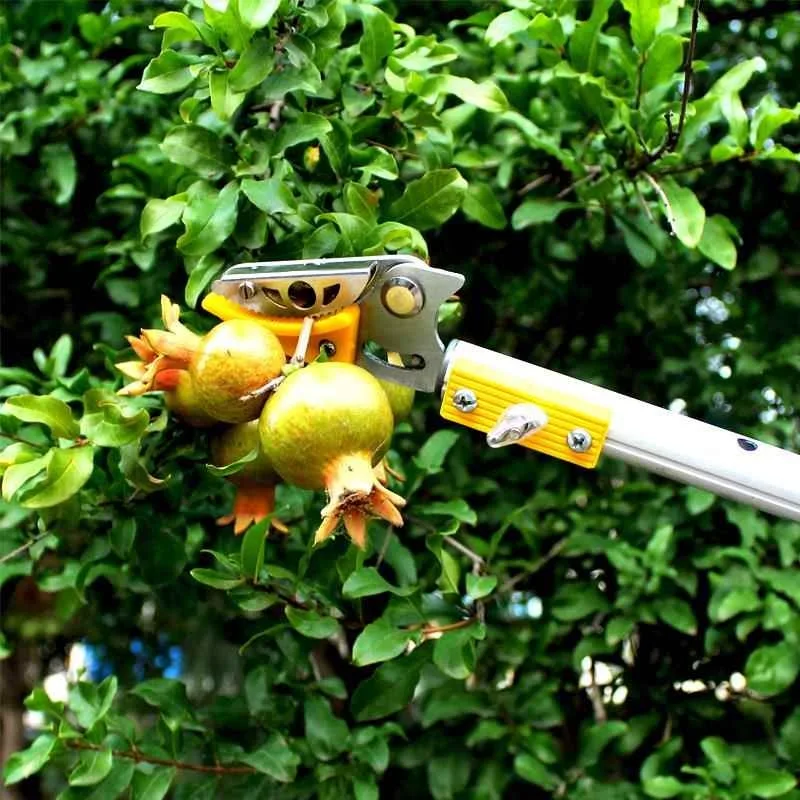 New Telescopic High Reach Pruner, Garden Shear for Litchi & Longan Fruit Picking and Branch Trimming