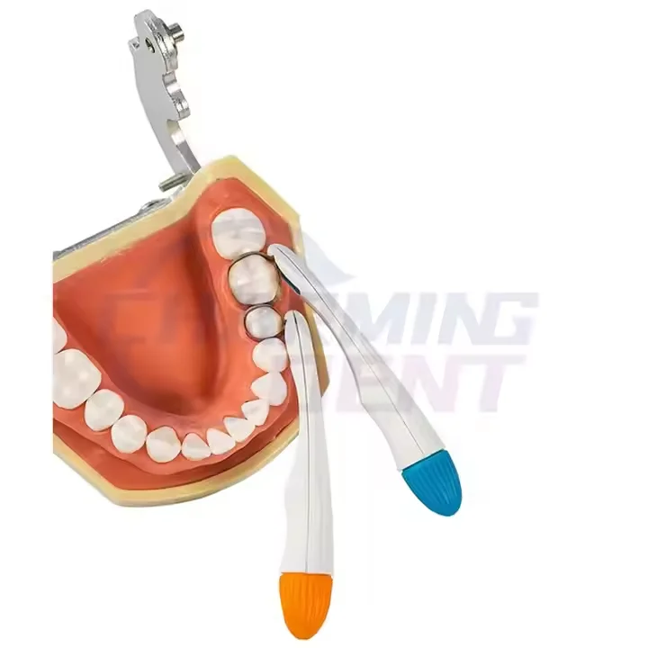 den tal Disposable matrix Repair Ring Band System/Stainless Steel Roll Molar Oral Material