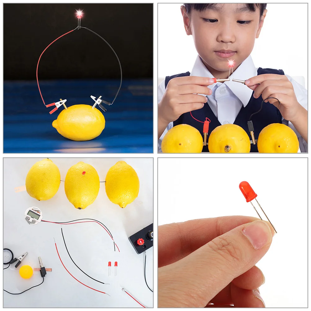 2 Sets Fruit Experiment Lemon Science Toys Electronic Clock Educational Student Kits Puzzle