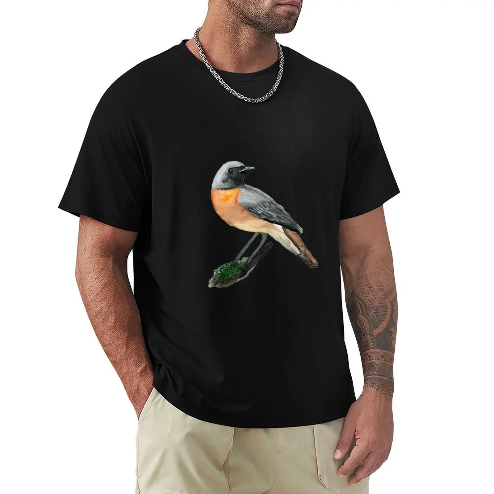 

Redstart T-Shirt Personalized t-shirt anime mens t shirt