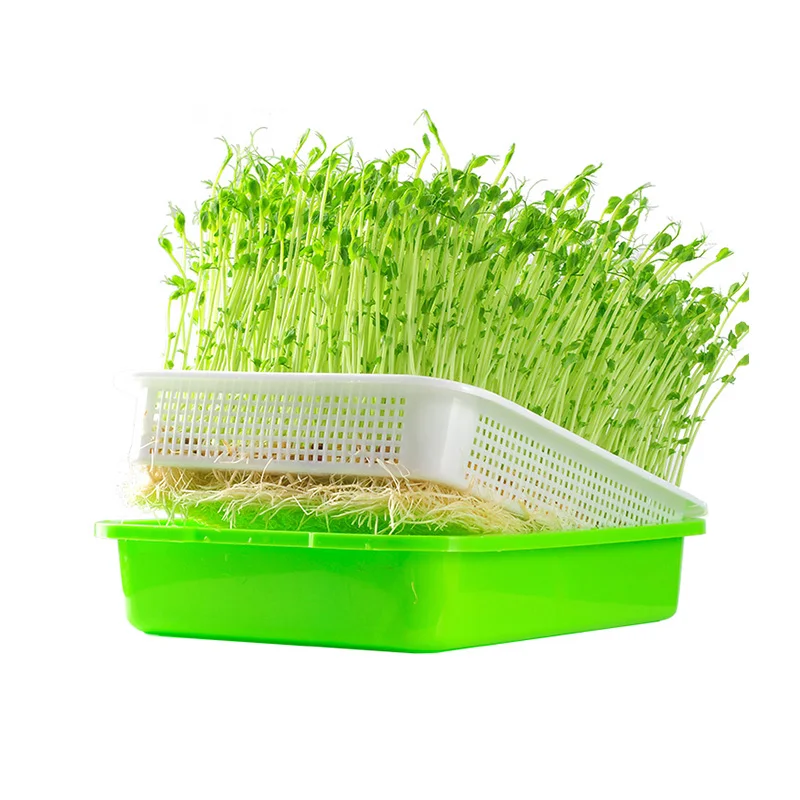 

Sprout Dish Growing Pot Hydroponic Vegetable Beans Seeding Pot Household Plants Germination Tray Nursery With Lid Kits