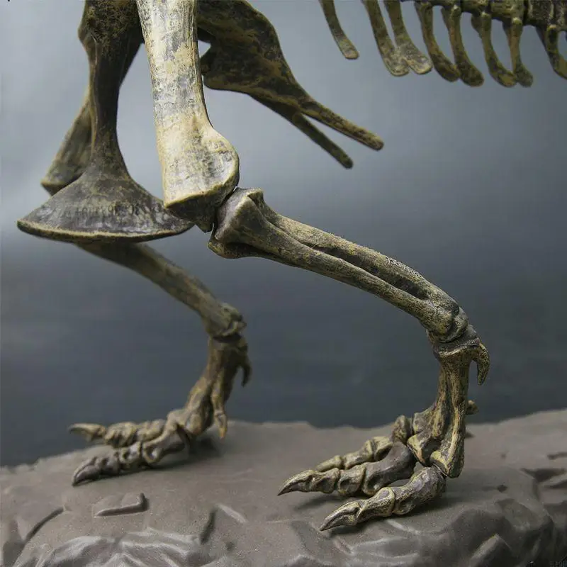 

F19F MODEL DINOSAUR SKETER SKETER COUTIRMEBIL
