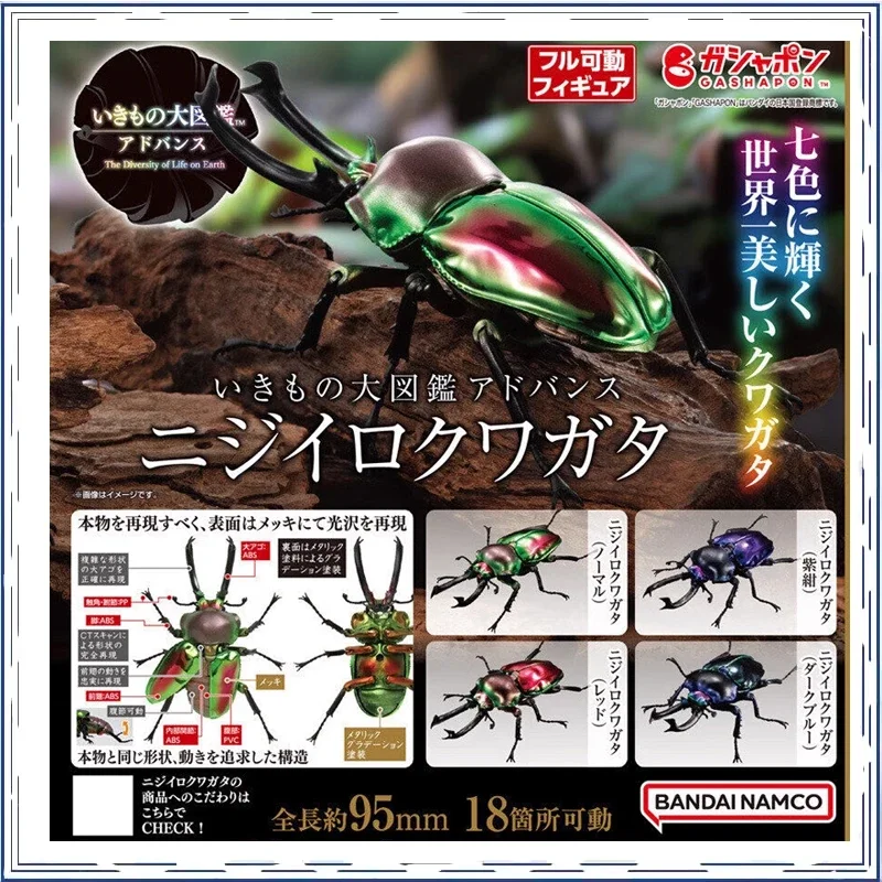 BANDAI Lucanidae Insecta Biological Encyclopedia Gashapon Christmas Gifts for Children Genuine Action Figure Model Toys