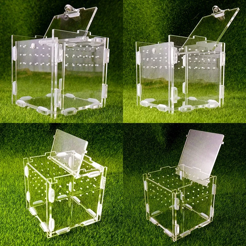 Stackable Acrylic Assembly Reptile Feeding Box Ants Spiders Crawling Pets Avoiding Cave Ant Nests Insect Box Ants Farm House