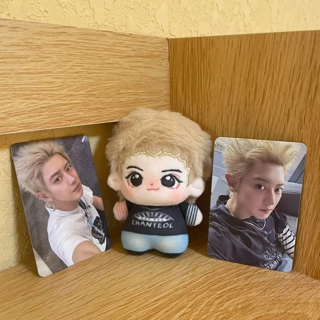 دمية قطنية على شكل نجمة البحر "yebo Park Chanyeol" محيطية مقاس 10 سم، مادة دعم دمية قطيفة رائعة