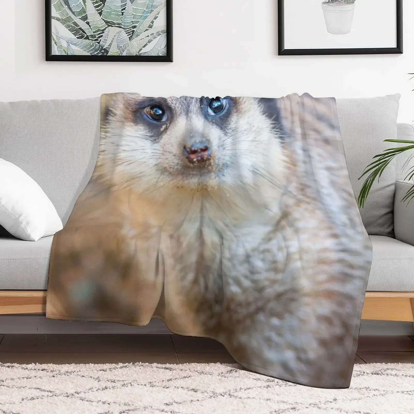 Meerkat Throw Blanket Blankets For Bed Blankets Sofas Of Decoration Blankets