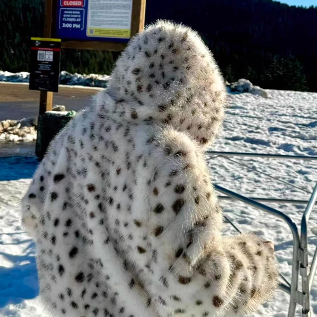 

Faux Fur Coats Women Casual Short Fur Leopard Print Patchwork Long Sleeves Stand Collar Thick Warm Fur Street Wear 2025 Winter