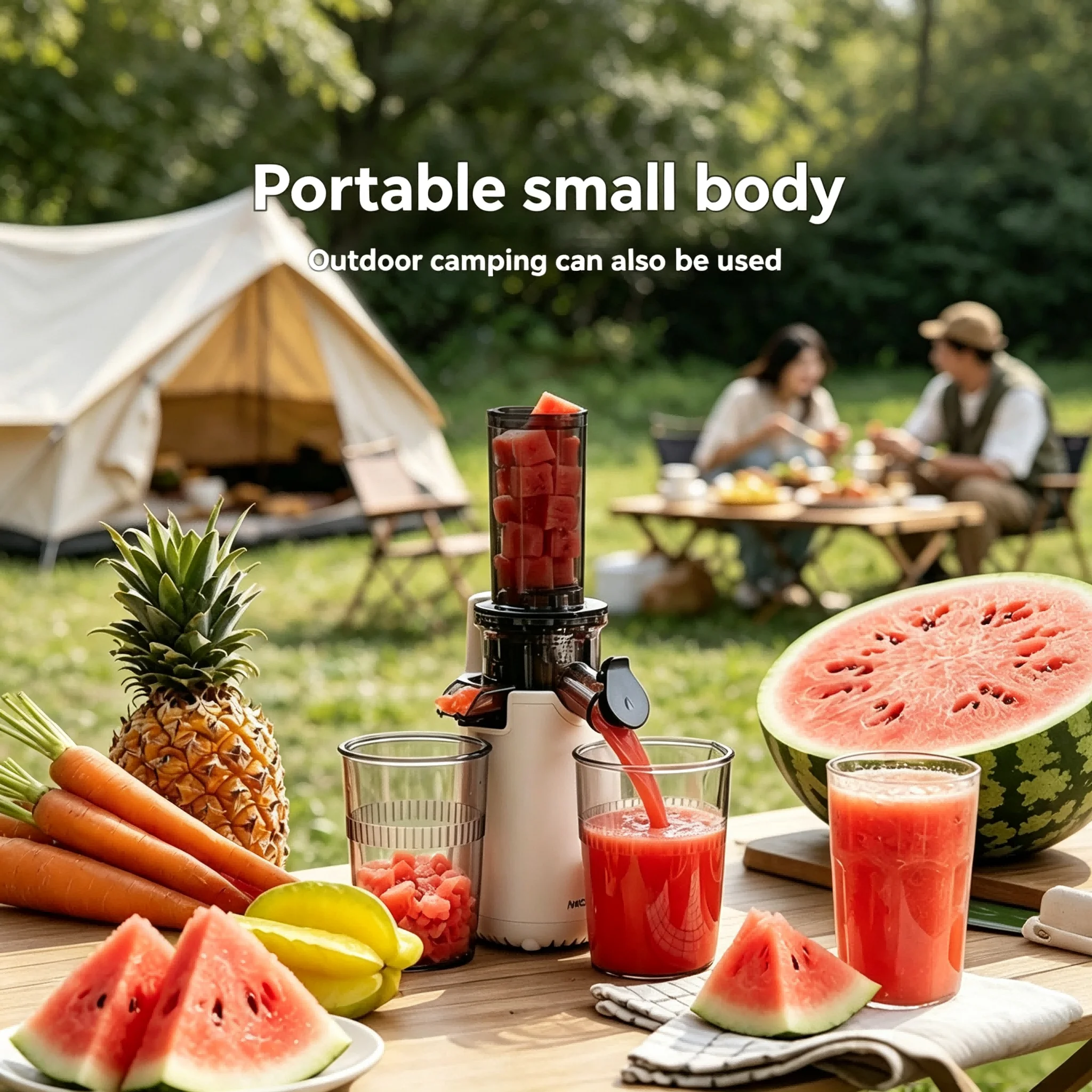 2026 Nieuwe kleine slowjuicer  - Juicer Cold Press Slow recensie en prijs