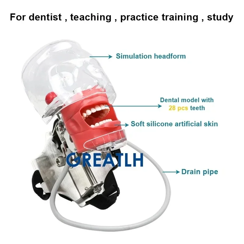 Symulator dentystyczny manekin Phantom Head Model zębów dentystyczny Nissin dla Model nauczania praktyki dentystycznej