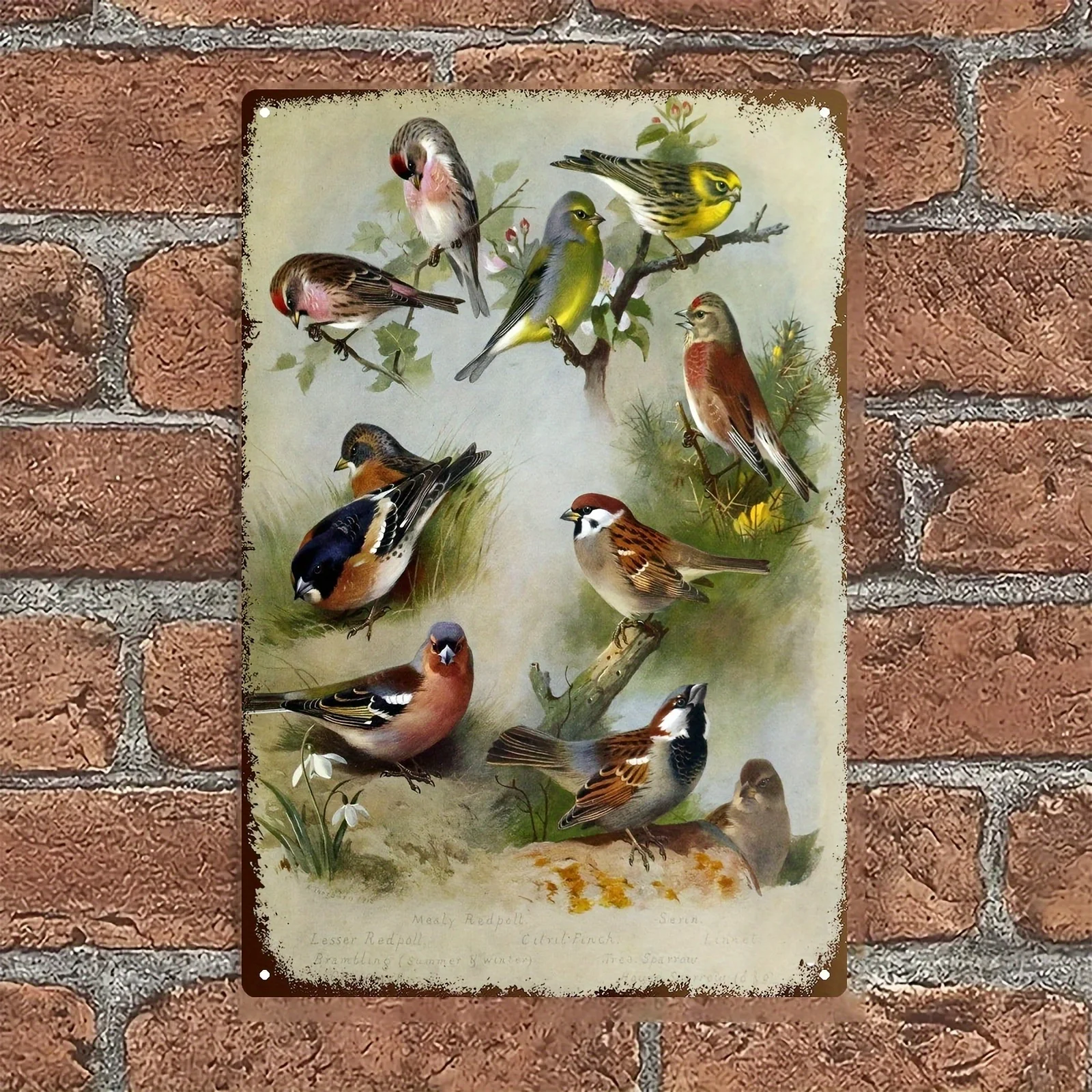 2D Flat, 2D Flat Single-Piece Vintage British Bird Metal Wall Decor - Rustic Iron Art, Size 7.9 X 11.9inch, Exquisite Depiction