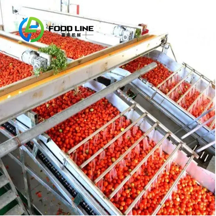 Multi Functional Tomato Paste Production Line Stable Equipment For Processing Various Tomato Based Food Products
