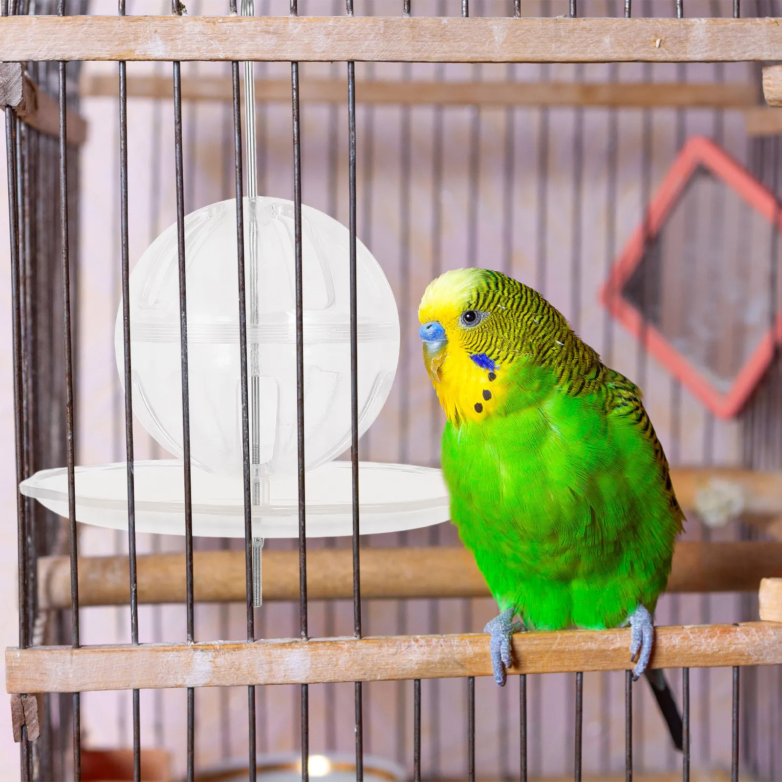 Pet Parrot Foraging Feeder Foraging Perforated Ball for Birds Treat Dispenser Reusable Bird Feeding Apparatus for Mental