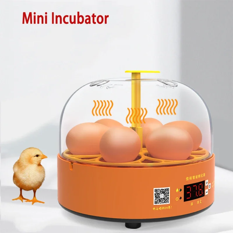 6 Egg Incubator Mini Brooder Digital Hatching Egg Manual Automatic Gashapon Temperature Machine For Chicken Duck Bird Pigeon
