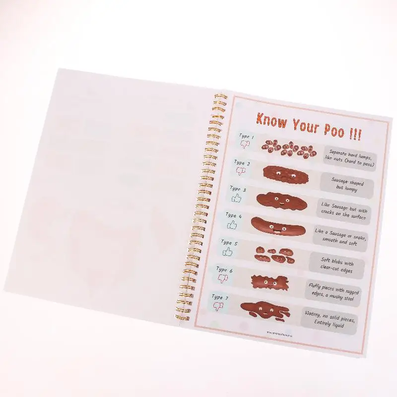 Creative Human Anatomy Busy Book Children's Fun Learning Picture Album With Illustration Learning Planner