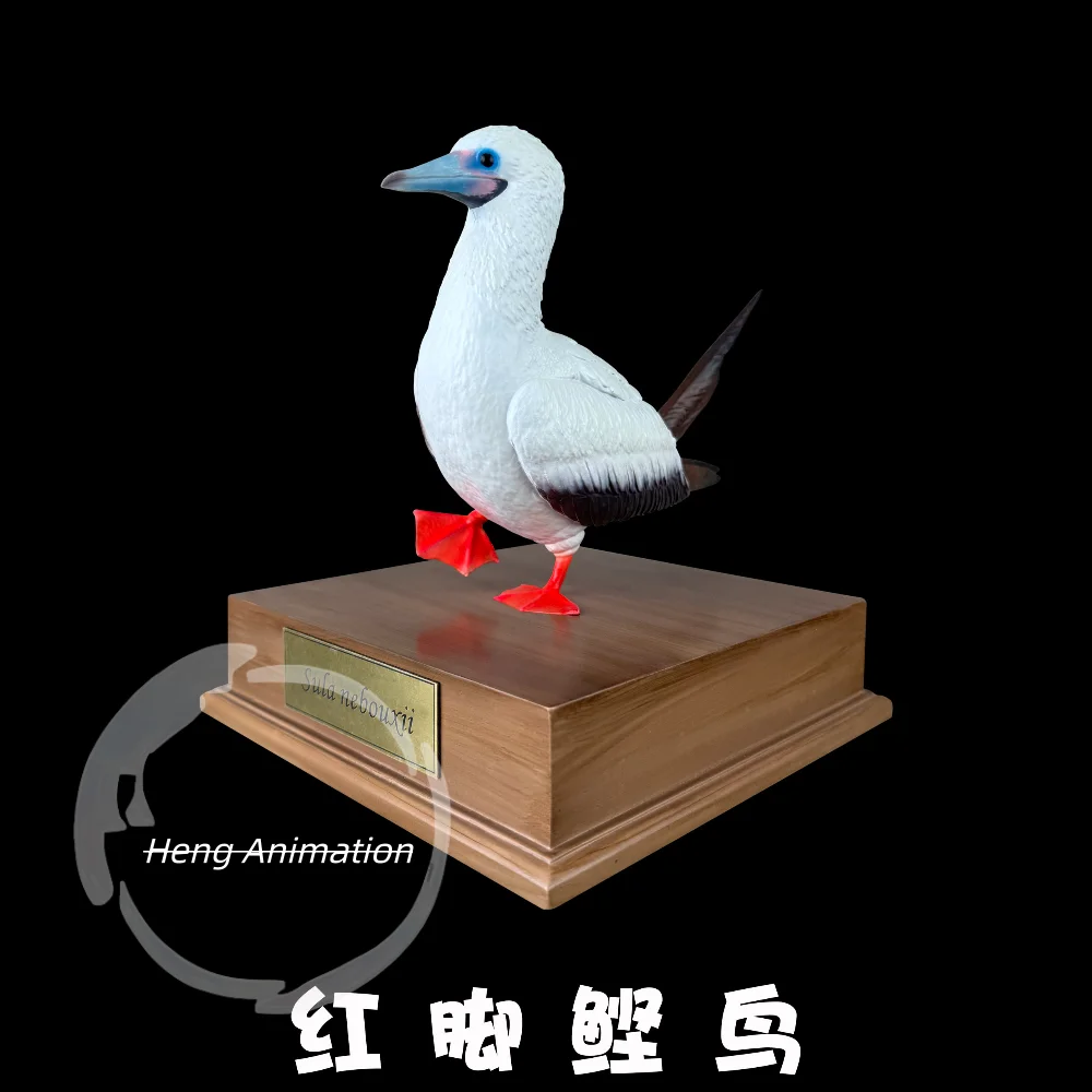 In Stock - Red-footed Boobies Model Figure Bird Realistic Tabletop Ornament Tide Play, Collection, Gift