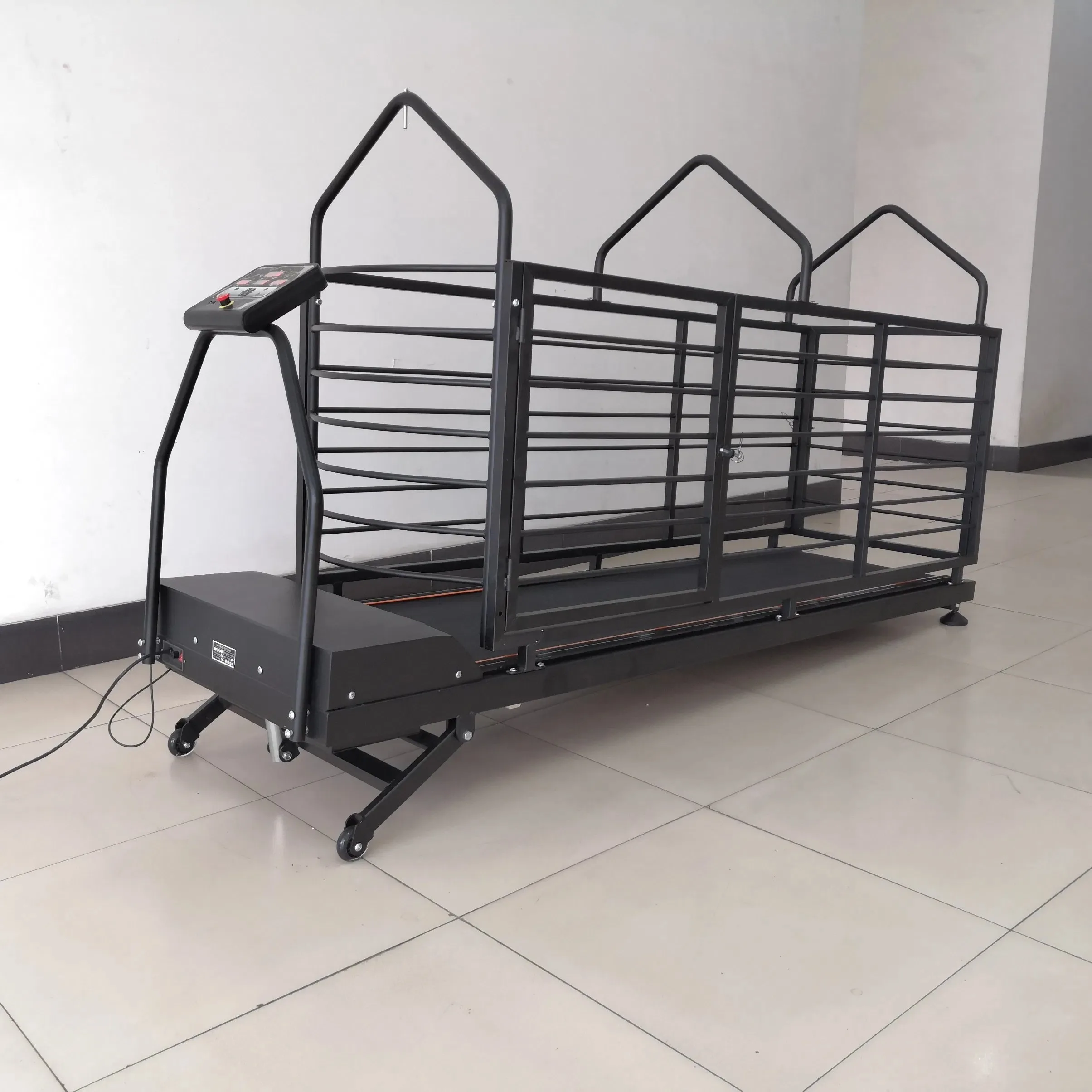 

Veterinary Equipment Dog Pet Site Treadmill Dog Treadmill for Sale