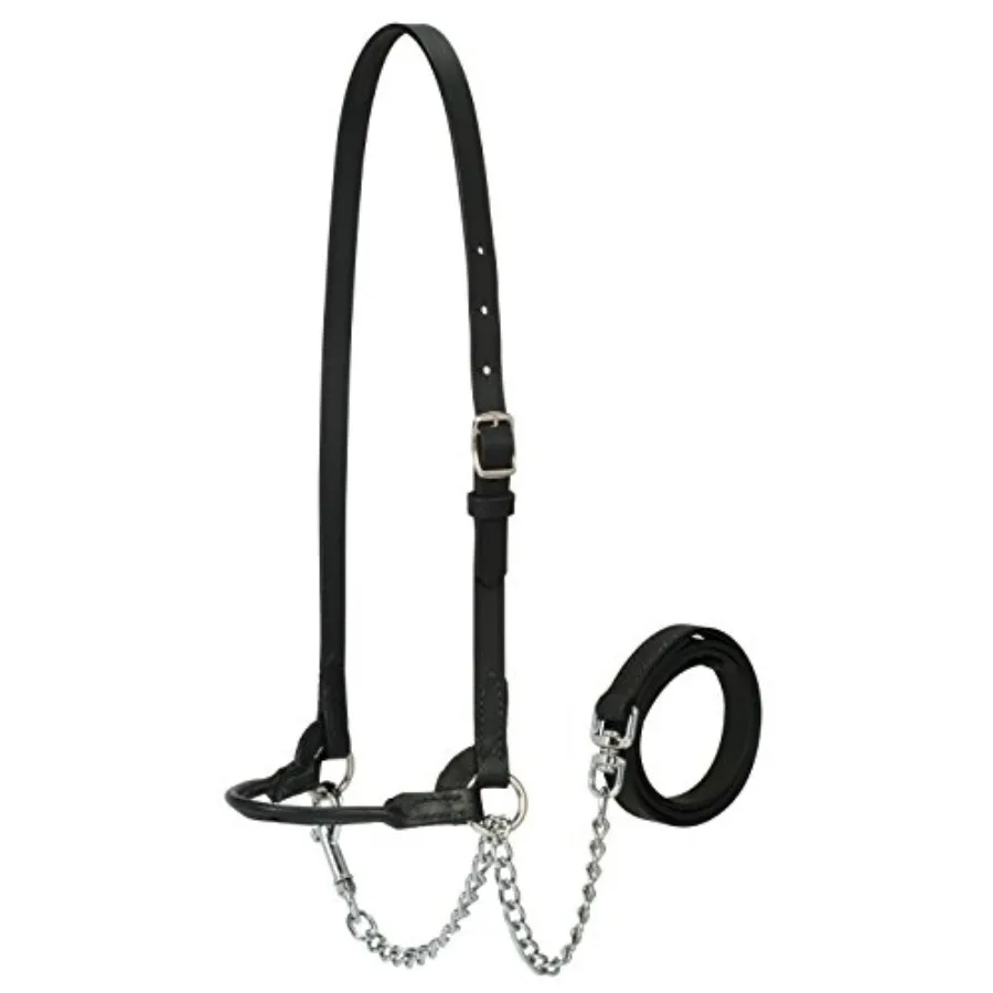 Dairy Halter for milking applications durable nylon material classic blue color adjustable fit and quick-release buckle