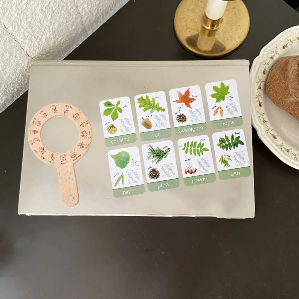 Montessori Children's Outdoor Explorer Tool Wooden Interactive Magnifying Glass Toys Interest Cultivation Portable