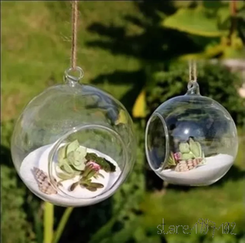 8pc DIA 6/8/10CM hanging round glass air plant terrariums bubble crystal balls flower globe vase for wedding ceiling decorations