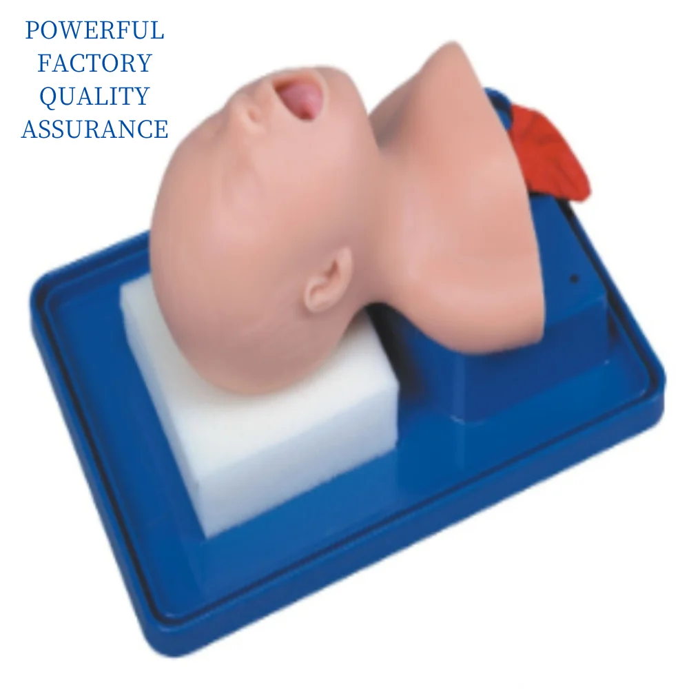 

Neonate Intubation Training Model Medical Supplies Educational Teaching Material for Medico Medicine College School Biology and