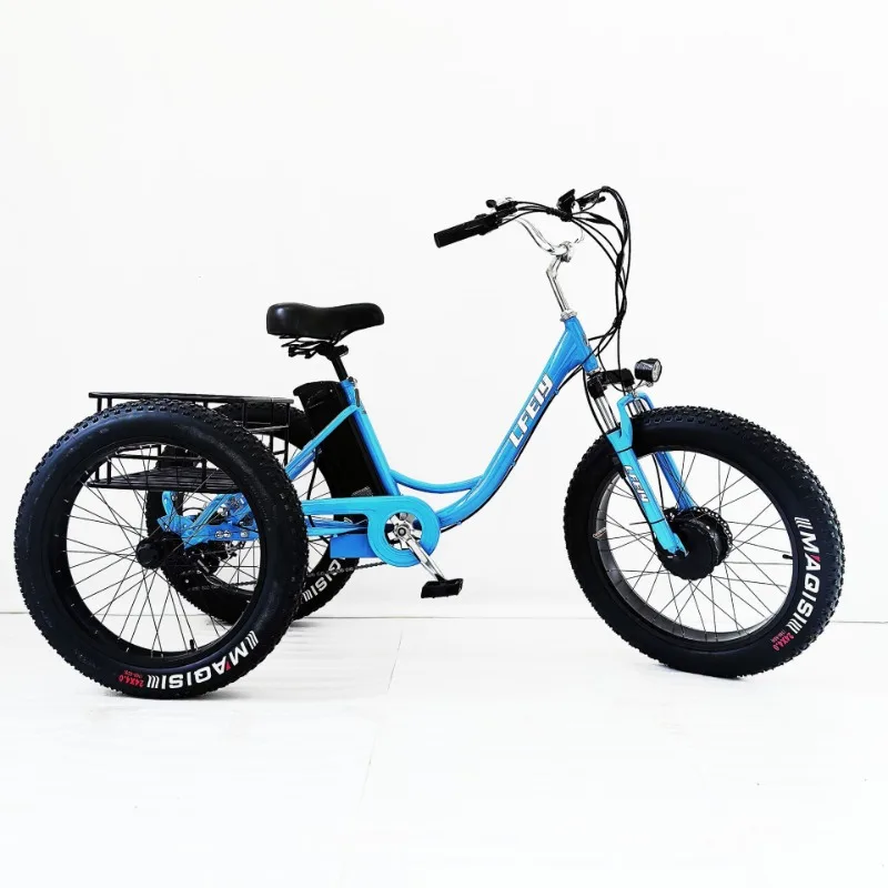 3-Wheeled Electric Bicycle 750W Motor 48V 12AH Lithium Battery 24*4.0 Fat Tire Snow E-Bike Storage Basket Freight Electric Bike