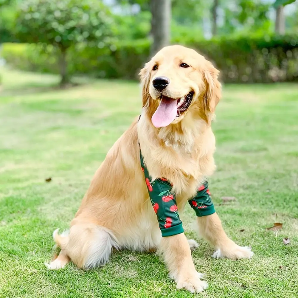 Anti-lamber ferida filhote de cachorro cotovelo protetor macio ombro suporte cão cotovelo cinta protetor almofadas respirável pet cão joelheira