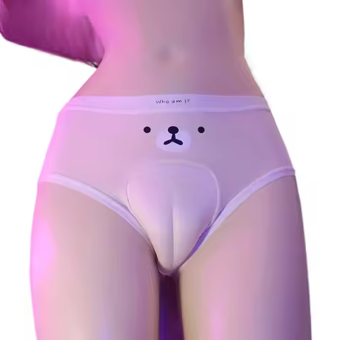 Transgender Underwear Dummy Panties Cute Bear Men's Dress Up Women's Abalone Line Briefs Hiding Gaff Genitals Panty Gay Lingerie