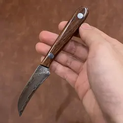 3 Inch Paring Knife 67-Layers Damascus Steel Blade Wood Handle Sharp Chef Cleaver Peeling Fruit BBQ Kitchen Knives Cooking Tools