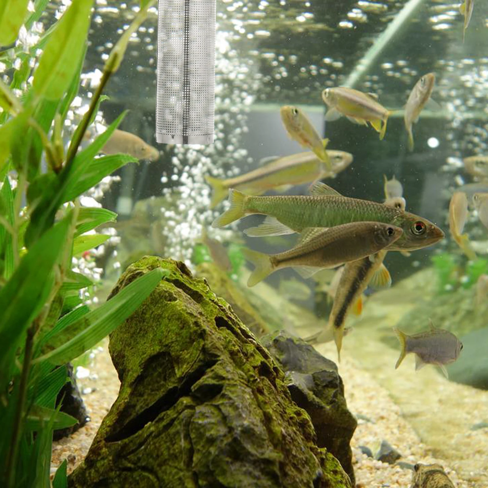 

Aquarium Filter Cover Stainless Steel Intake Guard Acrylic Protective Strainer Mesh Fish Tank Pre-Filter Protector