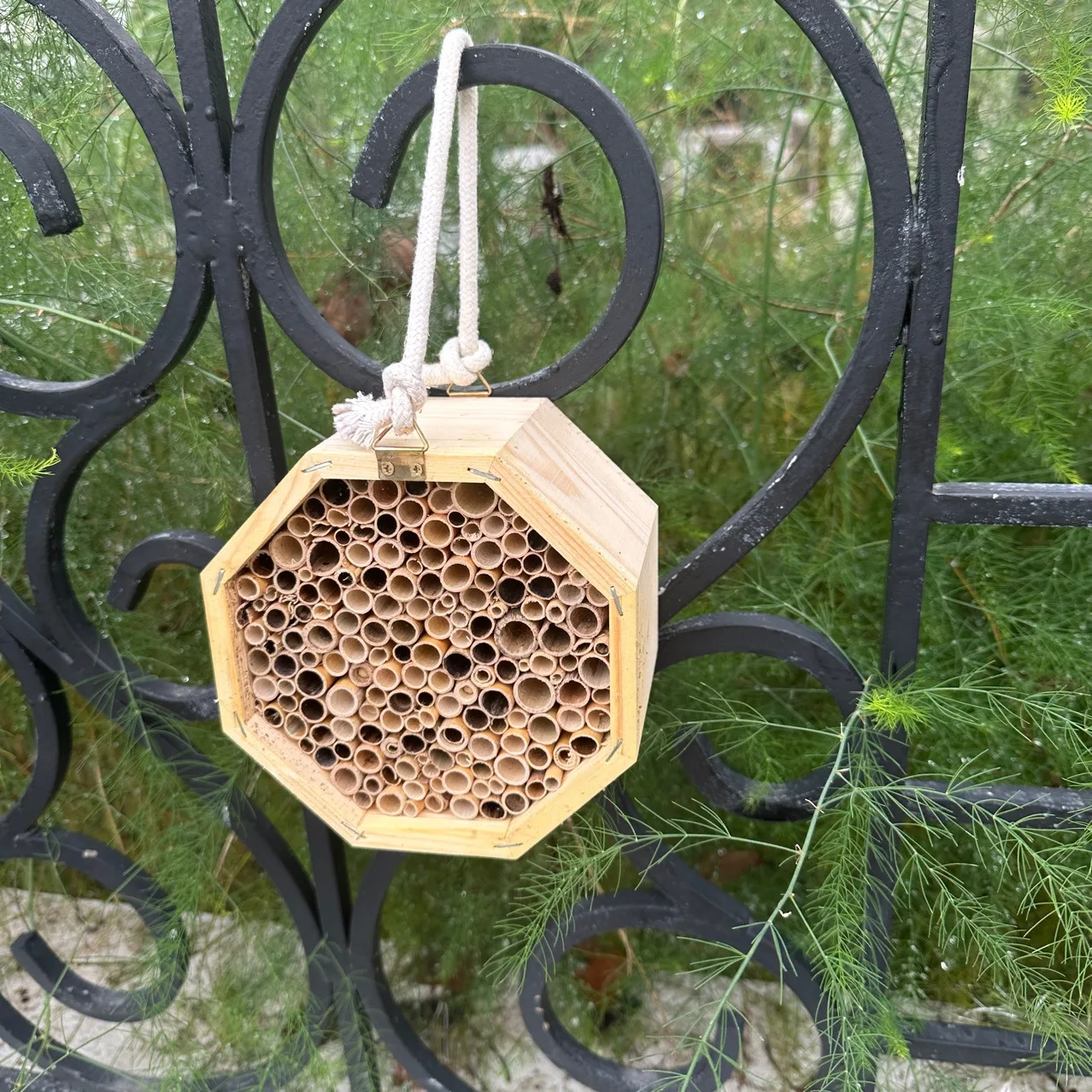 Wooden Beehive Bee House Outdoor Pet Cages Insect House Flying Insect House for Bees Butterflies