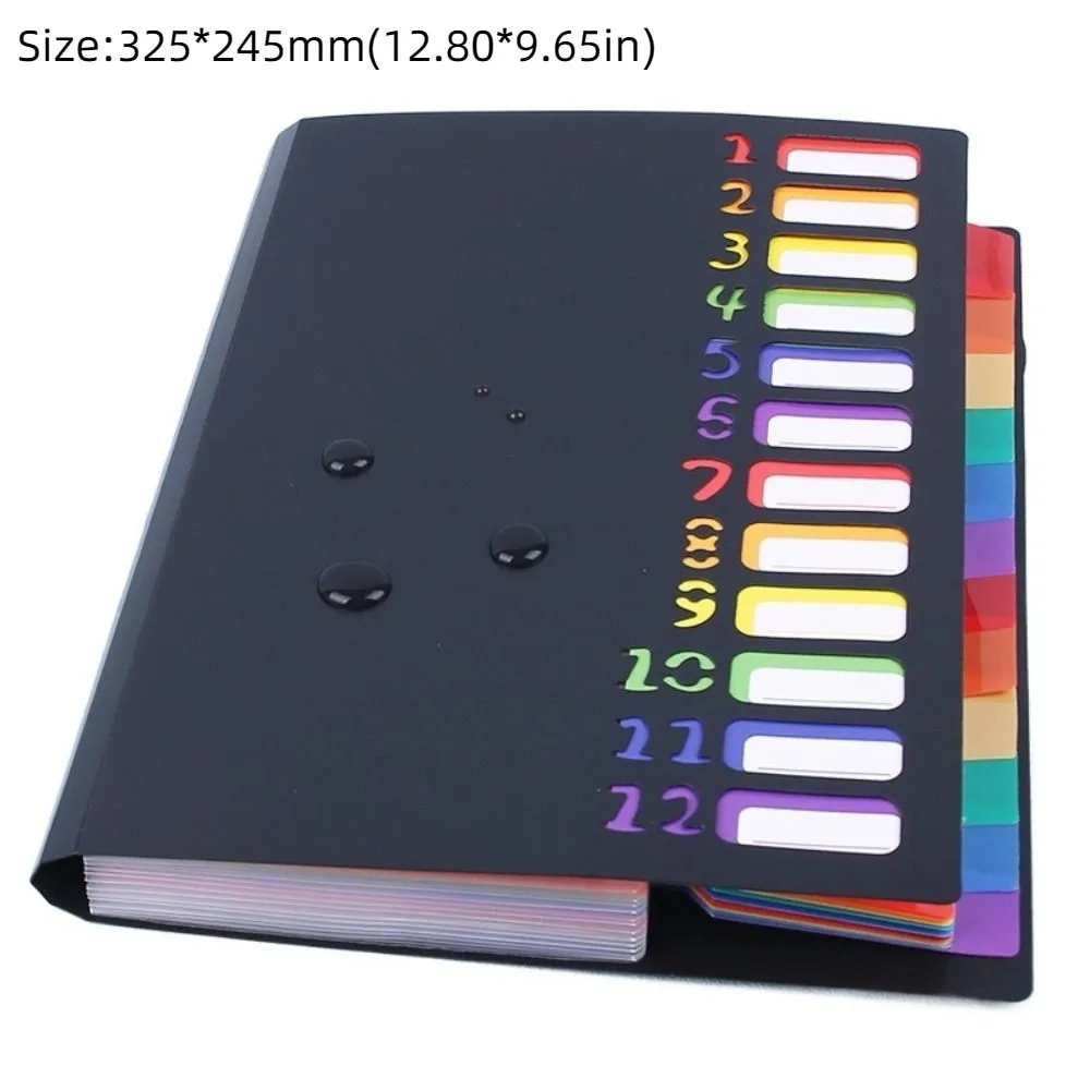 High Quality 13 Pockets Expanding File Folder Portable Rainbow Inner Page Organ Bag PP A4 File Organizer for Students