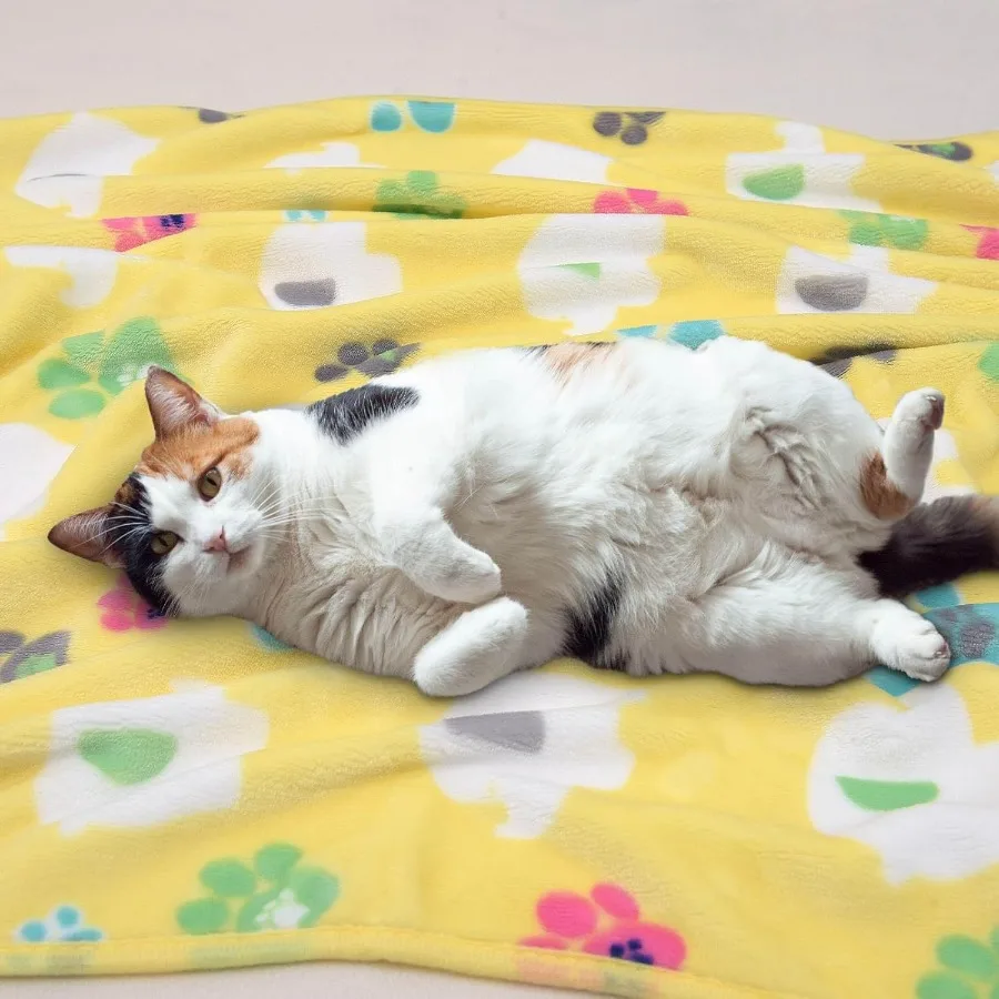 1 paquet de 3 couvertures pour chiens de grande taille 41x31 pouces pour chiens moyens, couvertures douces et moelleuses lavables pour animaux de compagnie et chat, patte d'éléphant réversible P