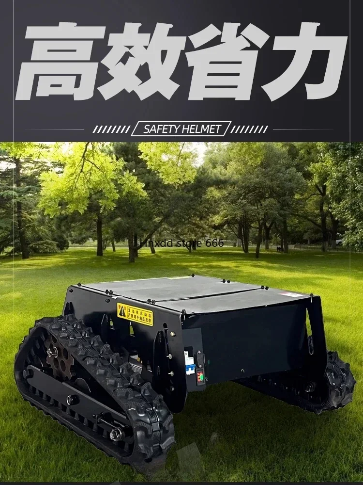 Small Remote Control Track Chassis Agricultural Construction Site Machinery Double Motor Transport Vehicle Climbing