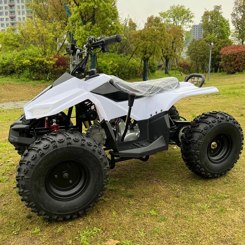 Best off Road Quad 125cc 4WD 4-Stroke 4 Seater Automatic Adventure Ready Electric Under $500