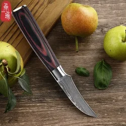 Damascus Fruit Cutting Knife Wooden Handle Kitchen Vegetable Fruit Peeling Knife Japanese Kitchen Knife for Cooking Accessories