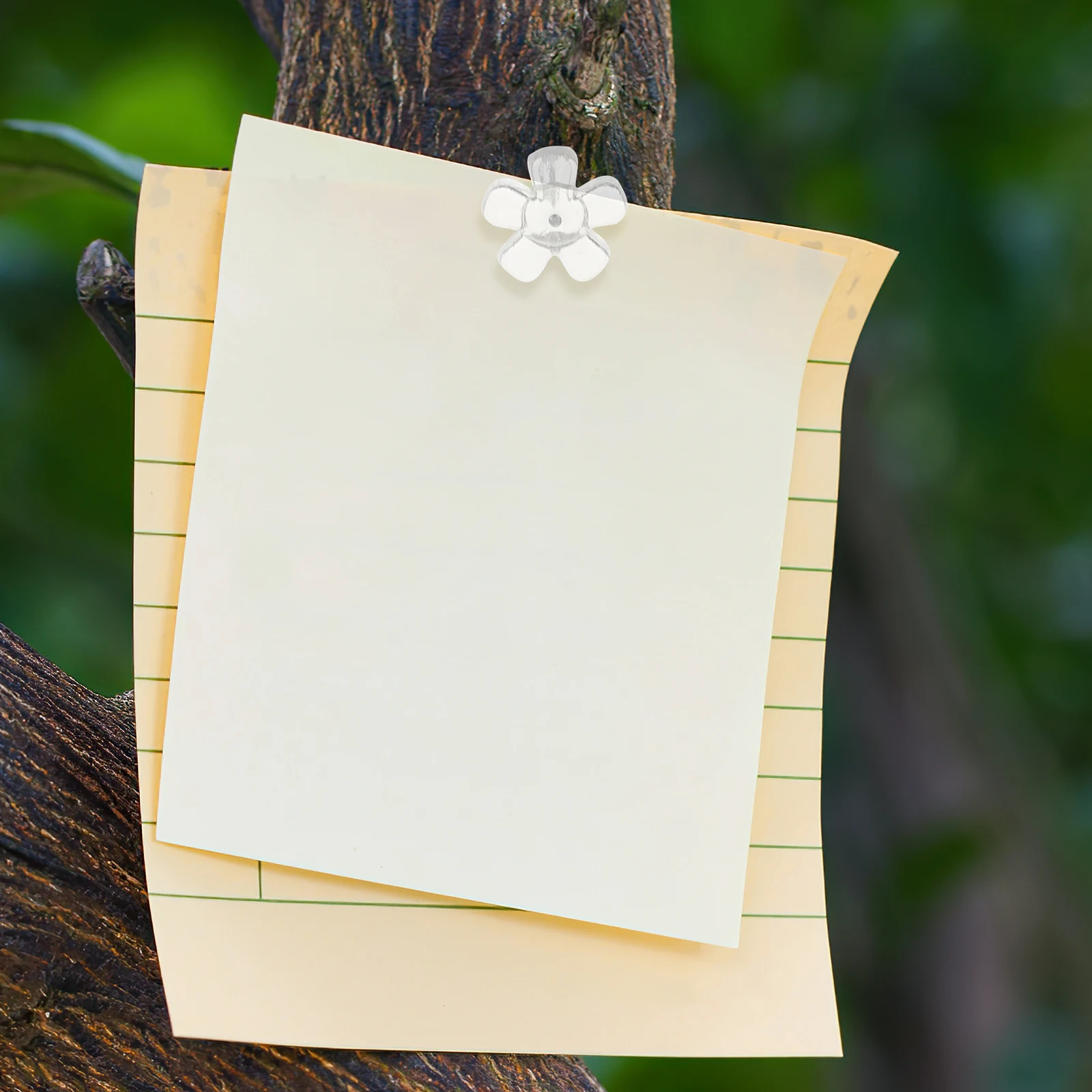 Cork Board Tachas Thumb, Flor Push Pins, Cartão Transparente, Limpar Mapa, 100 Pcs