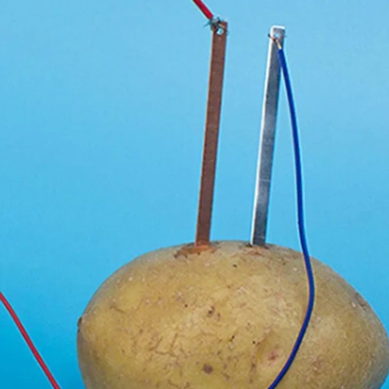 Children bio energy science kit fun potato supply electricity experiments toys