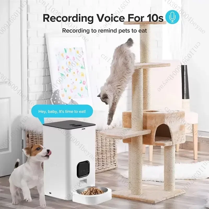 6L automatic pet feeder with  App control, two-way audio, cat and dog dry food distributor Wifi smart pet