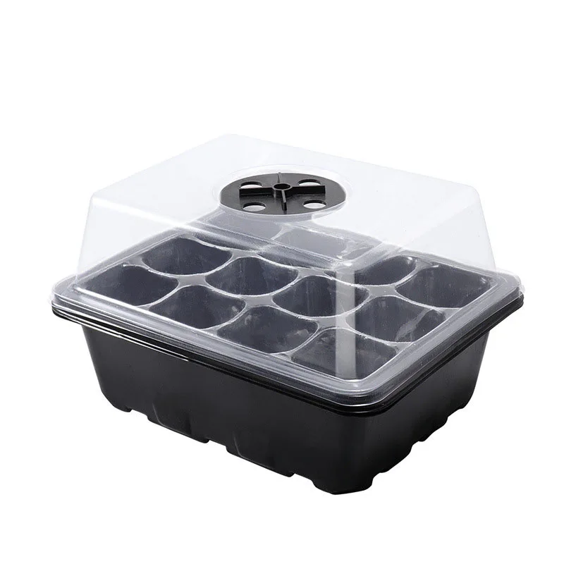 Plastic zaailingenpot met 12 putjes, sappig zaailingenbox, geïsoleerd zaailingenbakje