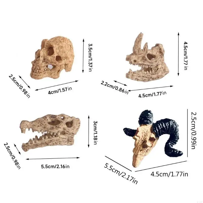 Tanque peixes aquário diy